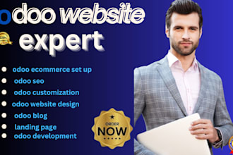 develop full stack, backend front end website development odoo wordpress and wix