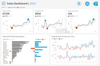 be your expert data analyst for business insights