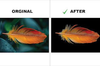 expertly edit and replace backgrounds in your photos