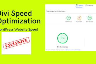 do divi theme speed optimization