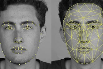do face recognition projects and attendance system