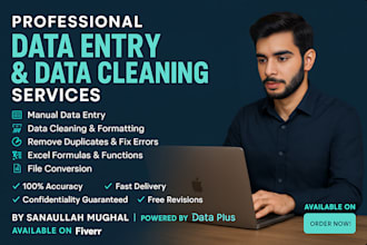 do advance excel formulas and macros for data