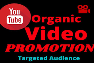 promote your crypto project on my youtube channel, meme coin