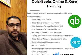 train and tutor you on how to use quickbooks online, xero, wave