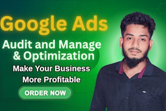 audit and optimize google ads adwords PPC campaigns for maximum ROI