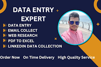do accurate data entry, web research, copy paste, data collection, typing