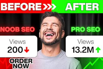 perform expert youtube SEO optimizations for your channel and videos