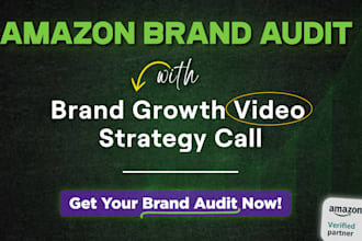 audit your amazon brand and record brand strategy video