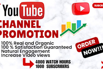 do superfast organic youtube video promotion, channel promotion for monetization