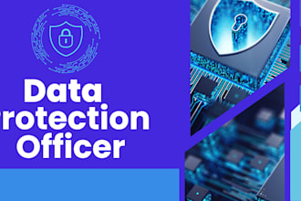 act as your data protection officer or dpo