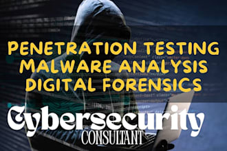 do penetration test digital forensic malware analysis cybersecurity consultant
