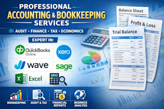 expert in accounting, bookkeeping, audit, finance,tax and economics