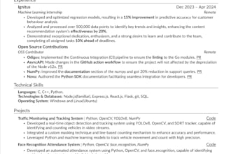 produce a polished CV and executive resume in 24 hours