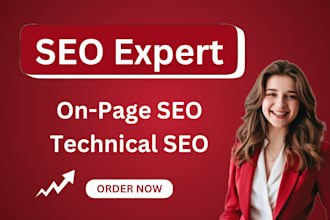 perform a detailed on page SEO checker for your website