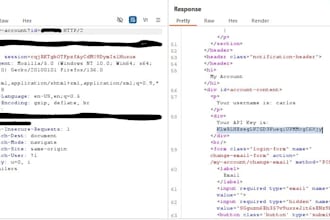 do API penetration testing and vulnerability assessment