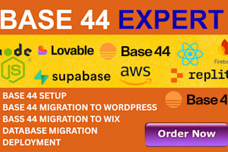 fix base44 bugs migrate base44 to wordpress base44 debugging base44 website