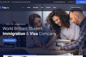 create an immigration website visa consulting website visa application website