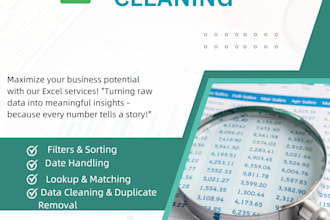 perform data cleaning , sorting, and filtering in excel