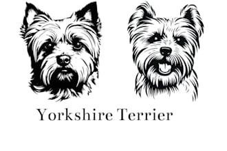 draw line art tattoo of pet ears, cat, dog head outline