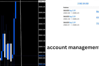 provide profitable forex trading robot, trading bot, ea bot, forex trading robo