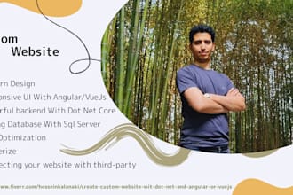 create custom website wit dot net and angular or vuejs