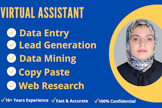be your virtual assistant for data entry, data mining, copy paste, web research