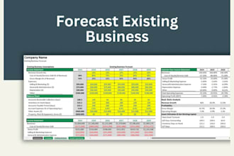 build investor ready financial models, projections, forecast for your business