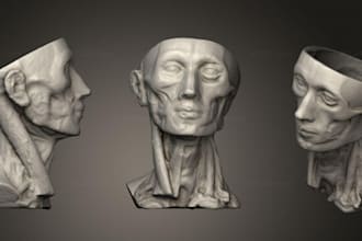 3d model hair heads stl helmet mask face bust for 3d action,3d figure printer