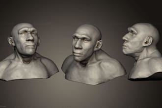 3d action figure,3d statues toy,3d character bust,stl funko head full rig face