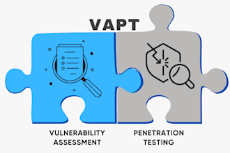 do penetration test on your website and provide detailed report