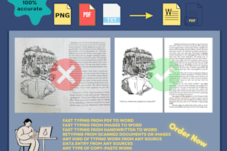 do data entry, retype, or convert PDF pages, and images, to ms word