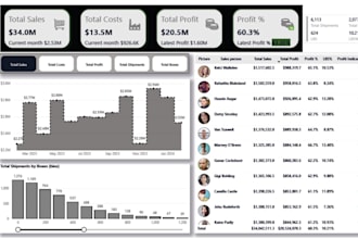 transform data, create power bi dashboards and  provide insights