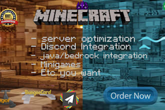set up a custom minecraft setup with plugins