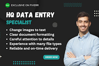 do documents typing, retyping, transcription and accurate file conversation