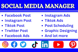 your expert in social media marketing manager, post scheduling and strategist
