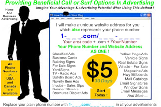 make any USA or canada phone number as a website address