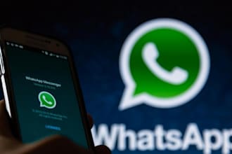 amplify your sales with bulk whatsapp marketing, targeted campaign and bulk sms