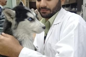 write pet animals blog posts and articles