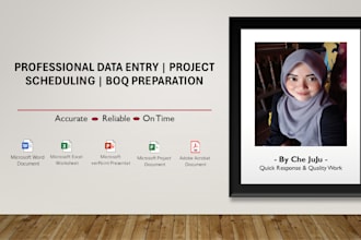 do professional data entry, ms project scheduling and boq preparation
