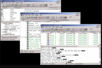 remove ea license, decompile ea, unlock source code, recompile ea, decompile dll