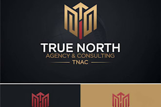 provide extreme agency and consulting logo design