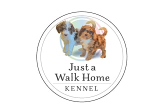 design artwork animals walk home logo