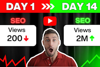 do youtube SEO, channel optimization, and video ranking for organic growth