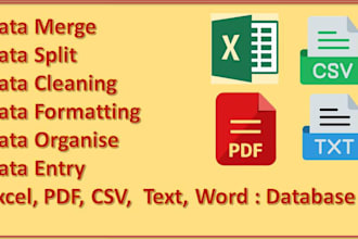expert excel database creation and cleaning PDF CSV excel file solutions