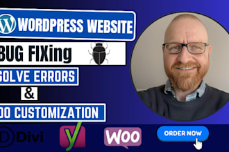 resolve or fix wordpress issues, critical errors, wordpress bugs or problems