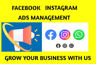 facebook instagram meta ads campaign manager,fb advertising marketing expert