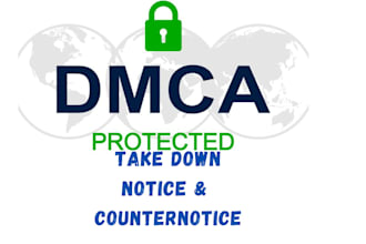 send dmca take down notice google,tiktok,onlyfans,fb,reddit,ig and shopif