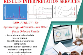 offer precise and reliable data interpretation services