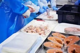do food formulation and product development