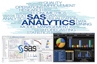 do data analysis, visualization, and programming by SAS, stata, r and spss